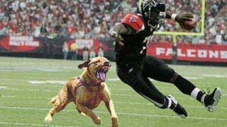 Vick Sentenced To 23 Months In Jail
